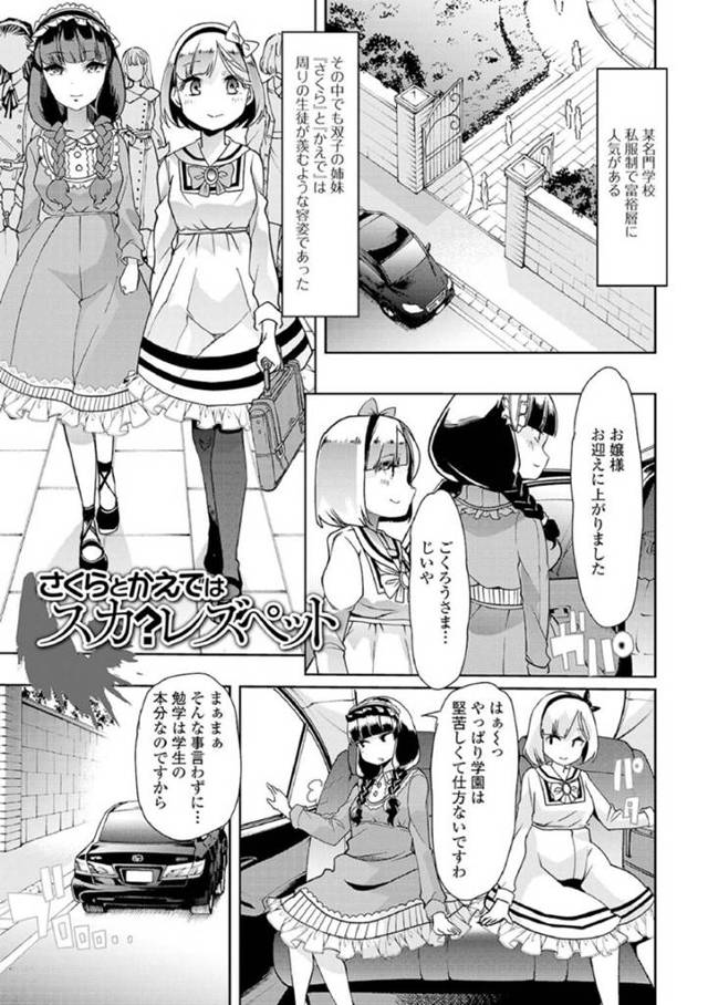 名門校に通うお嬢様の双子…品の良さそうに見えて二人はスカトロおむつプレイが大好き！下校の送迎の車の中で尿と糞が溜まったおむつを広げ、手マンして絶頂！家に帰った後もディルドで責め合う！【蜜姫モカ:さくらとかえではスカ？レズペット】