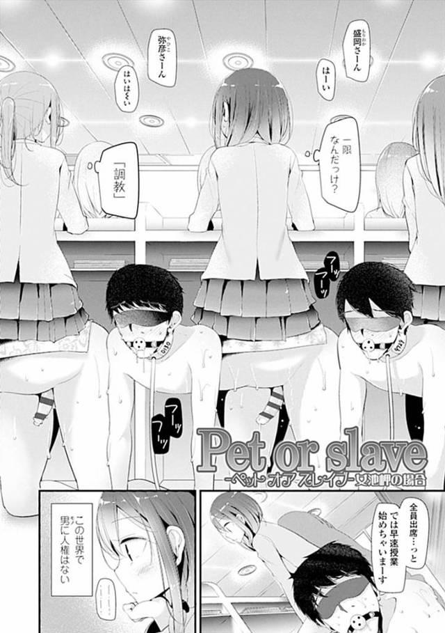 女が支配する世界で男を奴隷として飼うJK…彼女はそんな奴隷に学校での鬱憤をぶつけようとストッキング足コキしまくる。一回射精させた後も彼女は満足できず、騎乗位で跨ってアナルセックスするのだった。【大嘘:Pet or slave!!】