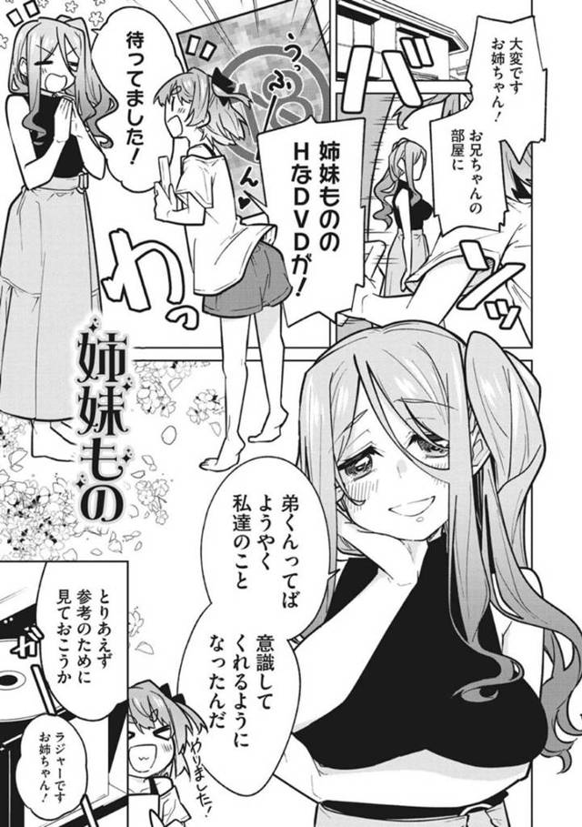 弟が大好きな姉妹…弟のエッチなDVDを見つけてしまい、リビングで見たら姉妹凌辱もので中出しトロ顔セックスだった！【ゆきりたかし：姉妹もの】