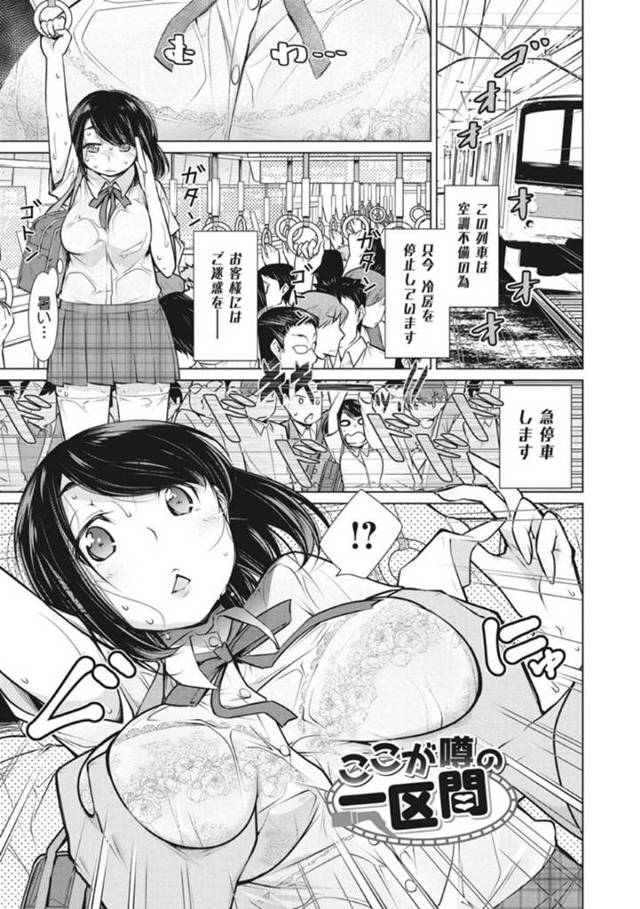 痴漢に遭遇し恥ずかしがる女の子と喜ぶビッチギャル…電車内でおっぱいを揉まれて乳首責めにもあい、真面目な方はおしっこを漏らしたり、生挿入までされてしまうトロ顔エッチ！【ゆきりたかし：ここが噂の一区間】