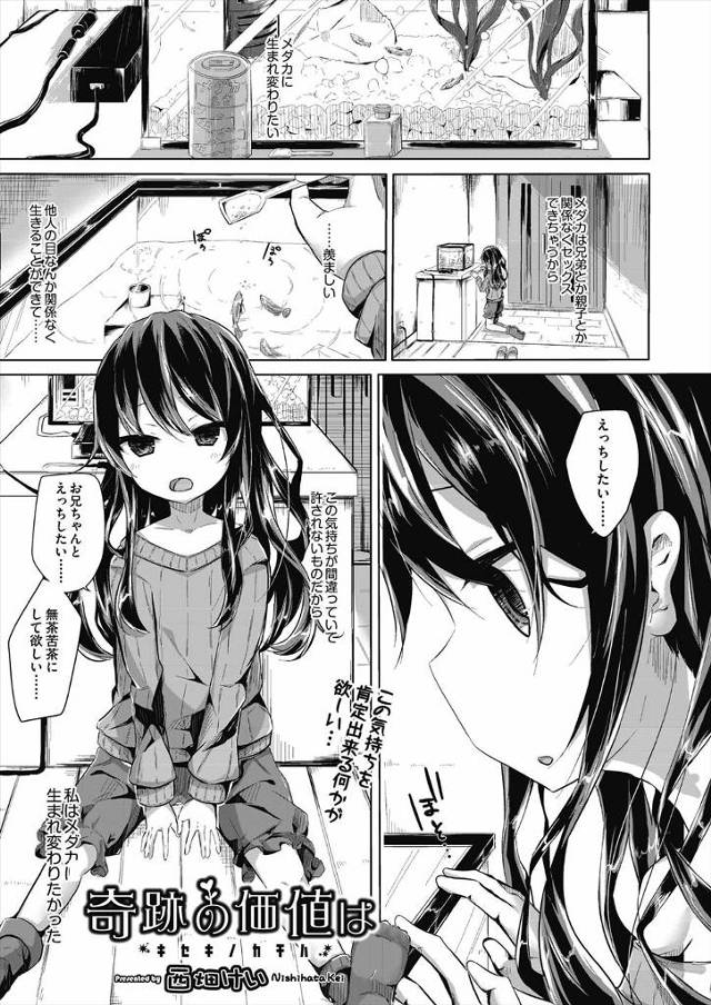 【エロ漫画】ブラコン少女の思いが爆発して、ついに兄に睡眠薬を飲ませて眠らせて処女マンコでハメ撮りしながら中出し…