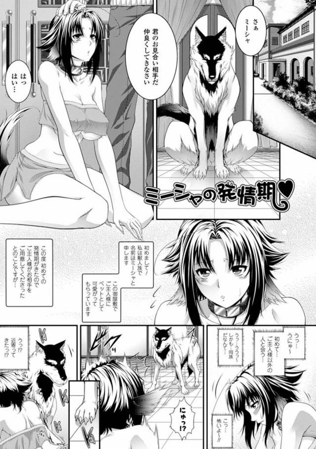 【エロ漫画】発情期を迎えた影響で獣とセックスする事になってしまった獣人族のミーシャ。初めての事で戸惑う彼女だったが、獣はそんな彼女に容赦なく彼女にクンニしてオマンコを濡れ濡れにした後、バックでチンポを生挿入して獣姦する！