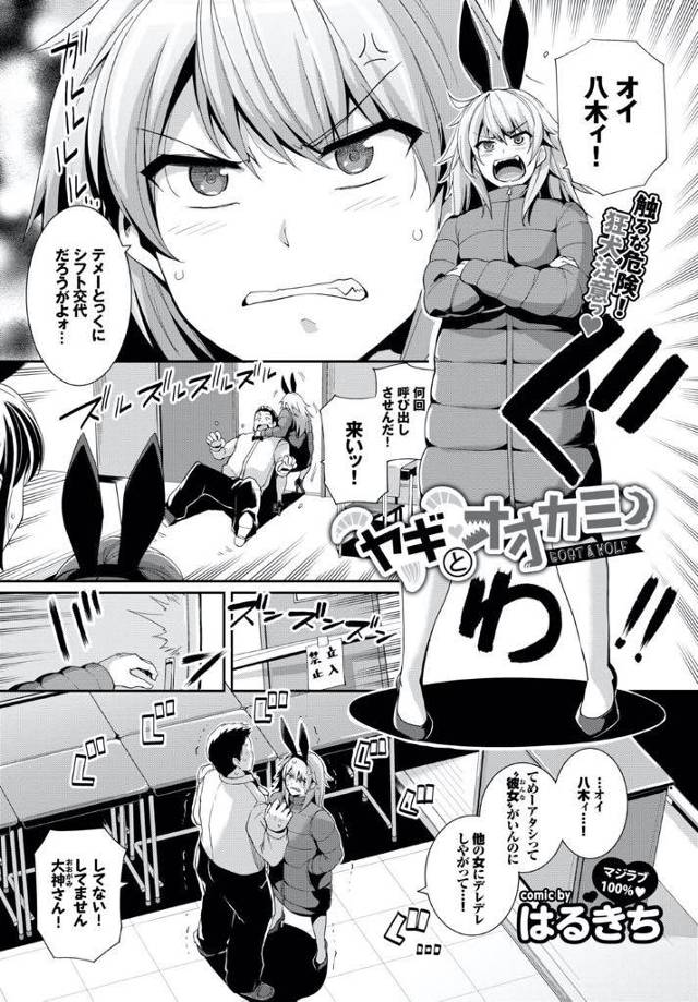 文化祭のバニー喫茶でバニー姿になる事を嫌がっていたが彼氏にだけ見せようとするツンデレな巨乳JK…興奮して勃起したチンコを扱かれ全部受け止めてくれる彼女と激しい中出しセックス【はるきち：ヤギとオオカミ】
