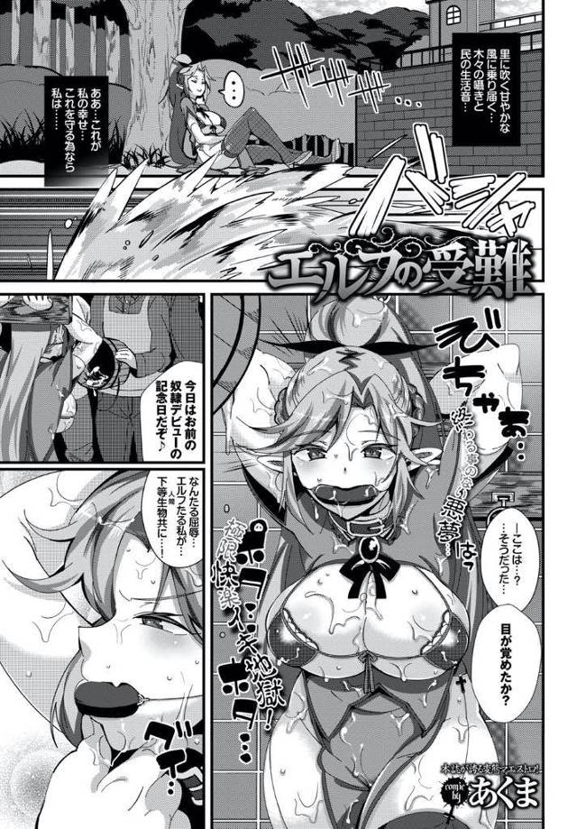 エルフの国に人間が攻めて来て襲われる巨乳姫…人間達に囲まれ無理矢理襲われ乳首とクリトリスにピアスを空けられる。そして、大勢の前で犯され中出しセックス【あくま：エルフの受難】