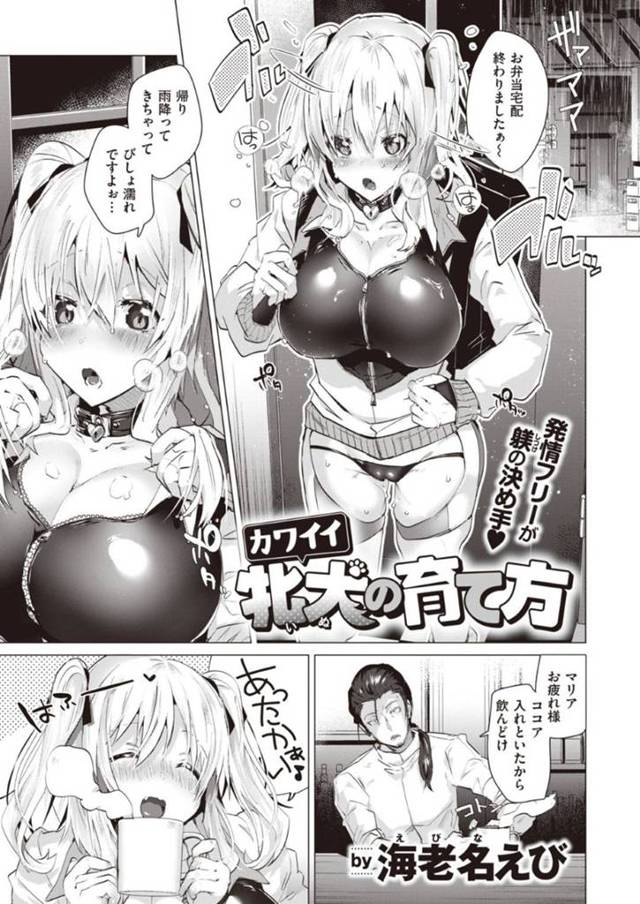 SMバーのお弁当配達をしている調教服を着た爆乳美女な女子大学生…店長に犬だ犬だと言われてドMに喜びSMセックスでバックの中出しセックスでイチャイチャしちゃう！【海老名えび：カワイイ牝犬の育て方】