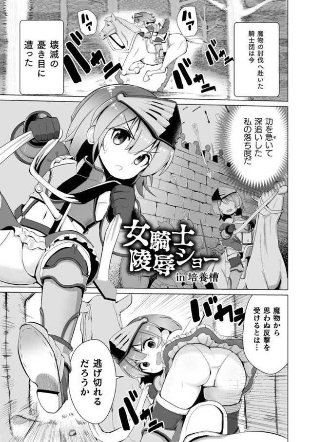 【エロ漫画】ゴブリンの群れに敗北してしまい、ゴブリンの国へと拉致されてしまった貧乳小柄な女騎士。目が覚めるとステージの上で拘束されていた彼女は見世物として触手で公開陵辱を受ける事となる！