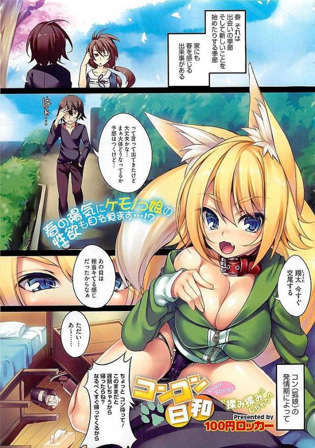 【エロ漫画】発情期に入った狐娘に交尾セックスをおねだりされるも帰宅が遅くなった男にへそを曲げる狐娘。性感帯の尻尾と耳を刺激したら機嫌が直り交尾セックス開始。【100円ロッカー／コンコン日和】