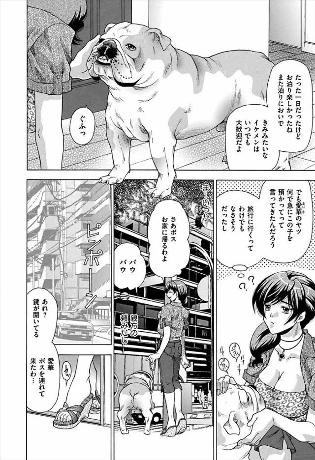 【エロ漫画】友達に旦那のインポを治してと言われ緊縛姿で獣姦セックスさせ旦那のちんぽを足コキする女ｗｗ友達は犬と…
