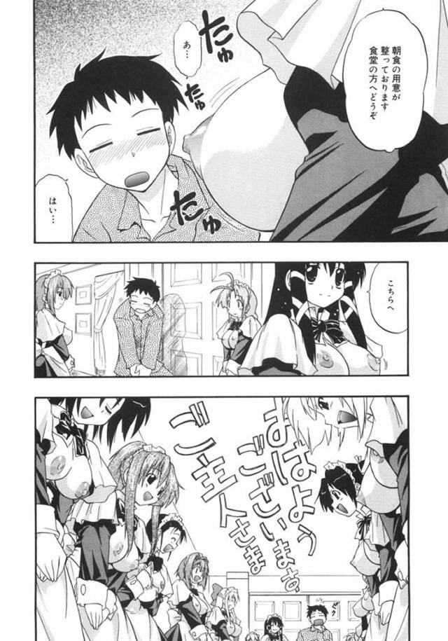 御主人様である主人公にエッチなご奉仕をするムチムチメイド達…彼女たちは彼を取り囲んではフェラやパイズリをし、更には中出しセックスまでする！【吉川かば夫:巨乳のある風景】