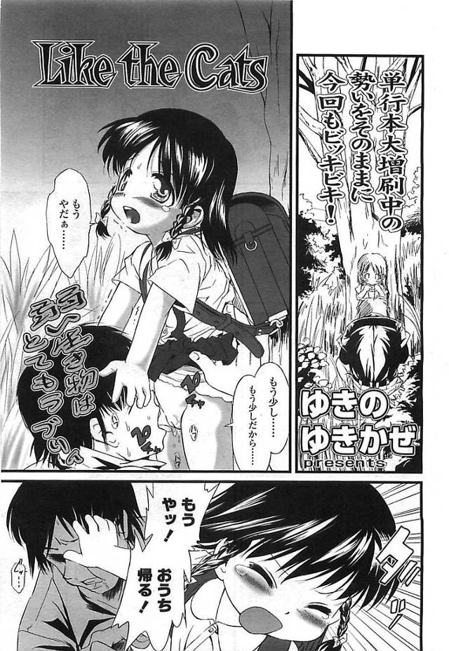 【エロ漫画】草むらでレイプされキツキツオマンコに挿入されずにすんだ少女は後日レイプ男に自宅に上がり込まれアナルを拡張されアナル処女を奪われる【ゆきのゆきかぜ／Like the Cats】
