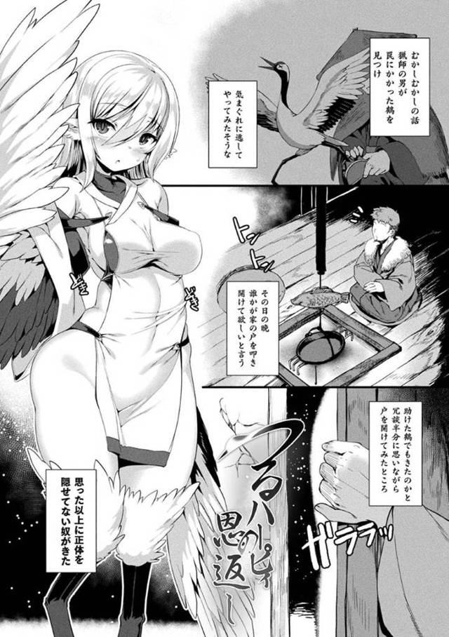 助けてくれた恩返しにセックスしてくれるかわいい鶴だったはずの美少女…逆レイプにディープキスしたりパイズリしてトロ顔の中出しセックスでイチャラブしちゃう！【針金紳士：つるハーピィの恩返し】