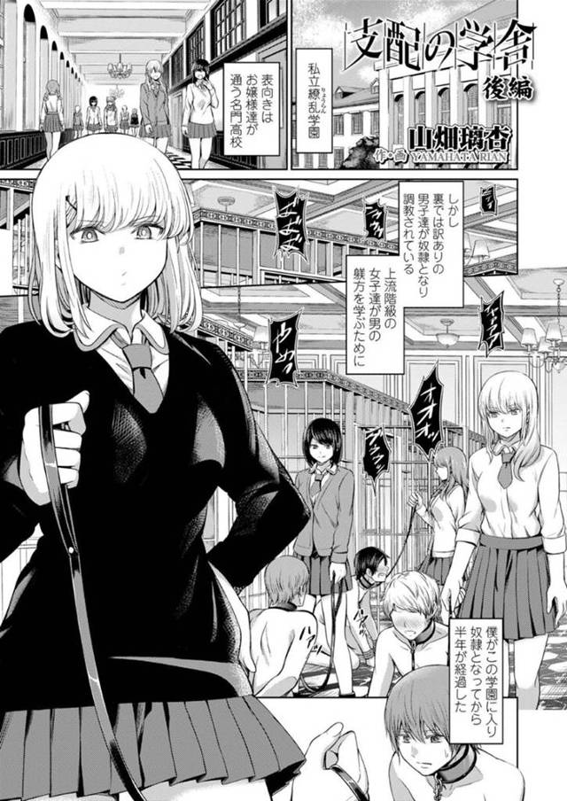 上流階級のお嬢様が通う女学園で、奴隷としてワケ有りの男子たちを調教しまくるドＳ令嬢JKたち…全裸に首輪を繋がれた奴隷男子を足コキや尿道責めやスパンキングなど寄ってたかってSM調教しまくり、ペニスバンドで激しいお仕置きアナルファックしいじめ尽くす【山畑璃杏：支配の学舎 後編】