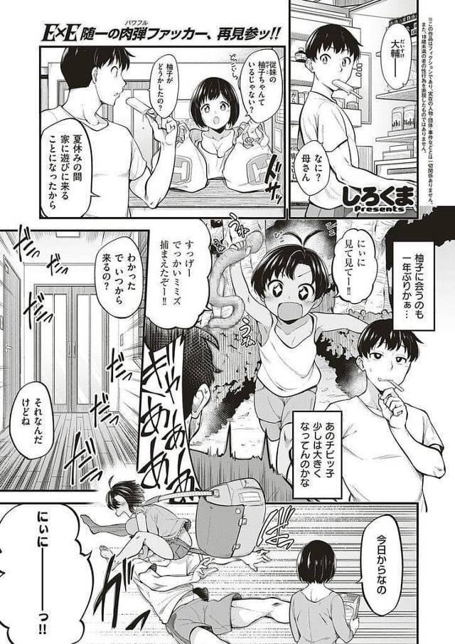 【エロ漫画】夏休みに従妹が遊びに来た！JCになり爆乳になっていた従妹！爆乳揉んで手マン掻き回し！勃起チンポ手コキパイズリ射精！処女マン挿入腰振り！マンコ突き上げ膣内射精！【しろくま】
