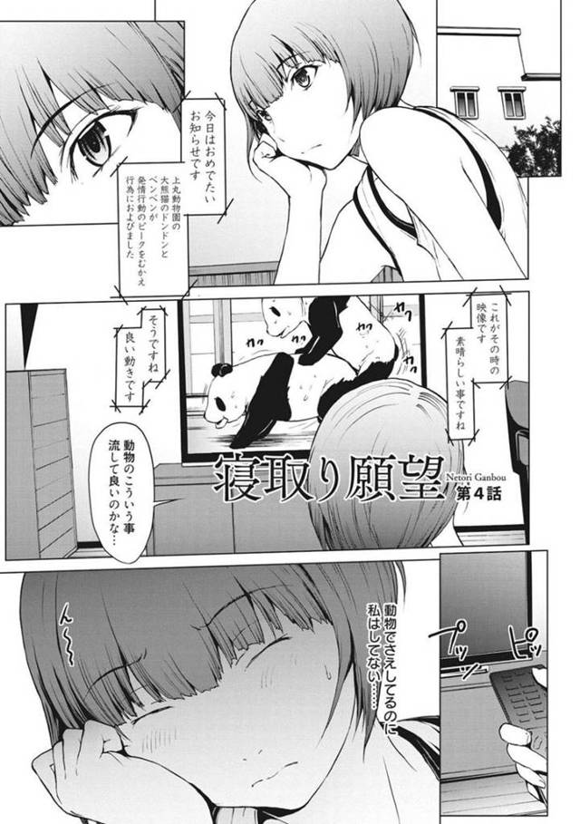 【妄想エロ漫画】パンダの交尾動画を見ながら性欲を我慢する巨乳妹【OKAWARI】