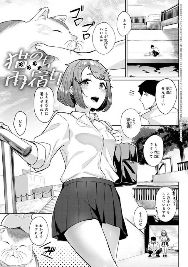 【エロ漫画】高架下で雨宿りしながら先輩男子を透けブラで誘惑し、逆セクハラして襲う肉食美少女JKは生ハメ中出しイチャラブ青姦初セックスする！【仲尾ハム/猫のち雨宿り】