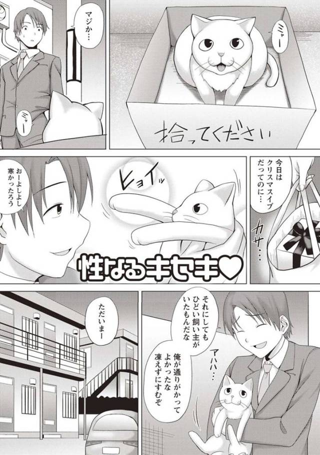 【エロ漫画】クリスマスに拾ってくれた男に感謝するため猫から化けた巨乳少女は、気持ちいい名器マンコで一緒に中出しセックス！【シャーベルタイガー/性なるキセキ♡】