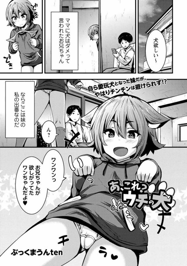 【エロ漫画】犬を飼えない兄を励まそうと犬になりきるちっパイ妹…パイチラしながらお手をする妹に欲情した兄は近親相姦セックスする！【ぶくまうんten】