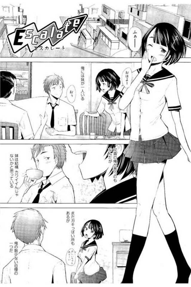 【エロ漫画】可愛い妹JKが自慢な兄！学校で彼氏とキスするのを見かけてしまう！嫉妬し処女か確かめる！寝てる妹のマンコクンニ！勃起チンポ挿入処女だったと安心する！激しく腰振り中出し！連日妹マンコに挿入中出し！電車や公園トイレで突きまくる！【堺はまち】