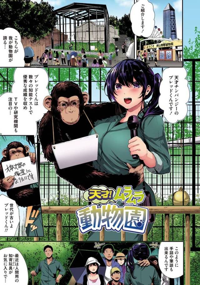 【エロ漫画】飼育員の黒髪ロングの巨乳美人後輩は、先輩が転勤することを知って、チンパンジーのいたずらで檻に閉じ込められてしまう！【牡丹モチト】