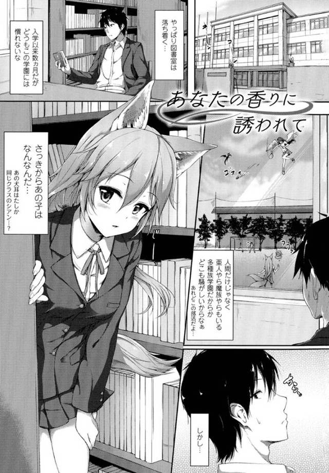 図書室でこっそり同級生の男子とエッチするケモ耳JK…彼に従順な彼女はディープキスや手マンを受けて発情状態となって制服姿のまま中出し着衣セックス！【淡夢:あなたの香りに誘われて】