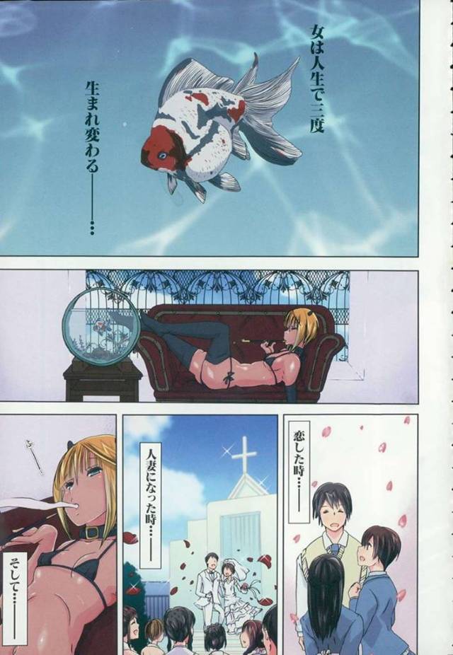 【エロ漫画】人間の男とのSEXに満足しなくなって獣姦に快感を覚えてしまった人妻はセイウチの激しい獣姦に気を失うほどの快感に中出しSEXで絶頂する【チキコ/獣姦 人妻かすみ 調教3回目】