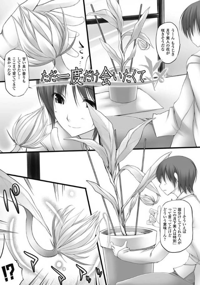 【エロ漫画】主人公の前に突如現れた花から人へと擬人化した巨乳ムチムチお姉さん。植木鉢で育ててくれた主人公にお礼をすべく、彼女はパイズリやフェラなどのご奉仕をしたり、中出しセックスしたりする！