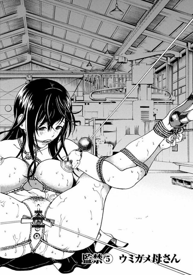 鬼畜な息子に調教されて、全裸で拘束されたままスーツケースの中に閉じ込められた美人母…膣内に挿れられた大量のリモコンローターでバイブ責めされ、産卵アクメ