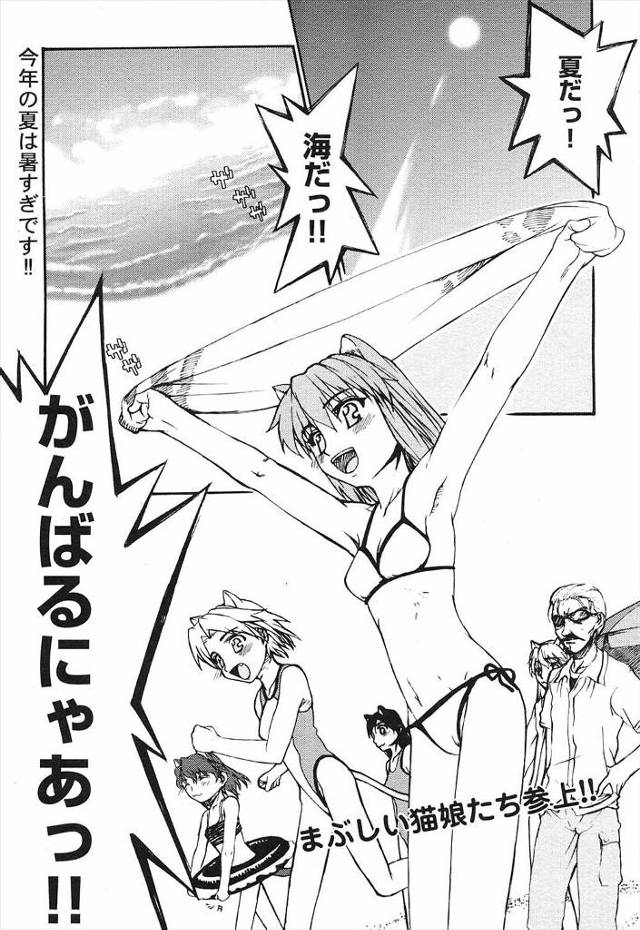 【エロ漫画】猫耳少女3人とビキニ姿で海水浴にきたら発情しちゃって皆で輪姦乱交生中出しイチャラブセックスイキまく…