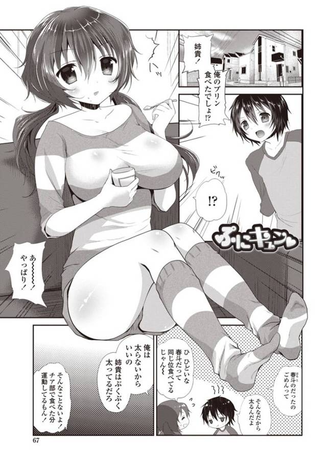 ダイエットとして弟にエッチなことを迫られてしまったむっちり姉…やられ放題な彼女はパイズリやフェラなどをさせられた挙げ句、中出し近親相姦！【天凪青磁:ぷにゅキュン♡】