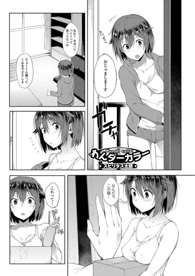 【エロ漫画】届いた首輪を付けて犬プレイさせられ興奮するちっぱいお姉さん！【スピリタス太郎】