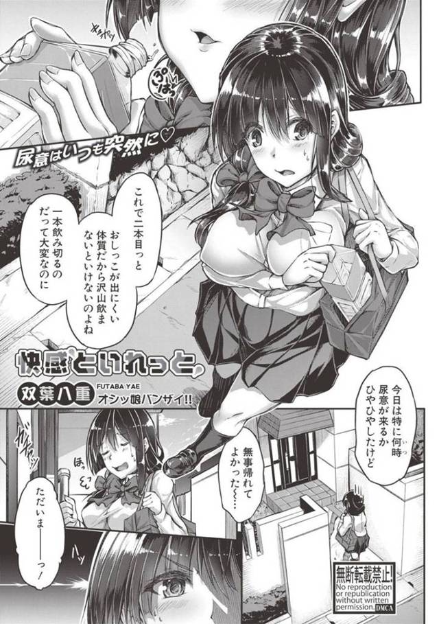 【エロ漫画】頻尿JKが密室トイレでお兄ちゃんに跨っておしっこしたらお兄ちゃんのムスコが勃起して近親相姦【双葉八重】