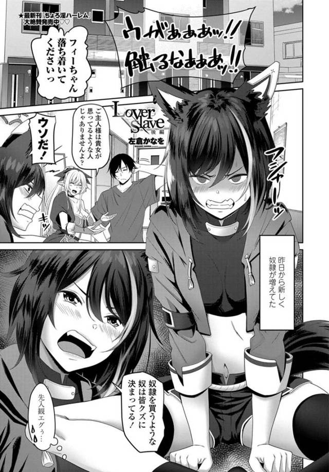 【エロ漫画】新しいご主人様に買われたが牙をむく獣人族の奴隷少女…ご主人様が優しい人だと気づき性処理をしてあげる！【左倉かなを】