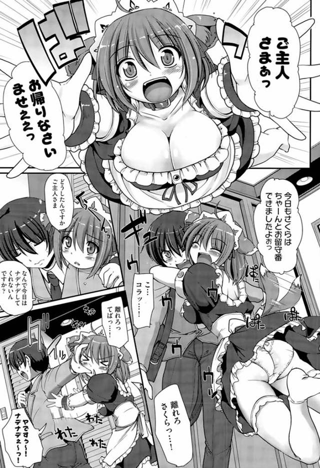 【エロ漫画】おてんばなメイドをどうにかしようと奮闘する男の子、勉強中に部屋にはいってこないように言いつけるが我慢できずにドアを蹴破り乱入する巨乳メイド、厳しく言うが涙目の彼女に胸キュん交尾を始めてしま…