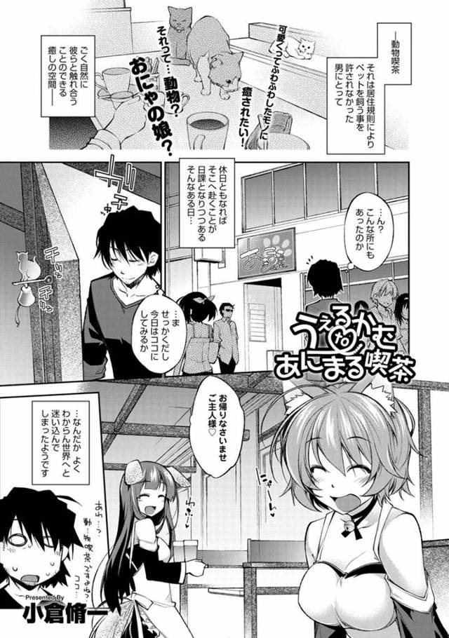 ケモコス喫茶にやって来た客の男におっぱいを見せて誘惑する巨乳美少女バニーガール…個室に連れ込んでおっぱいや股間を貪られて感じまくり、激しいコスプレイチャラブセックスで種付けアクメ【小倉脩一：うぇるかむtoあにまる喫茶】