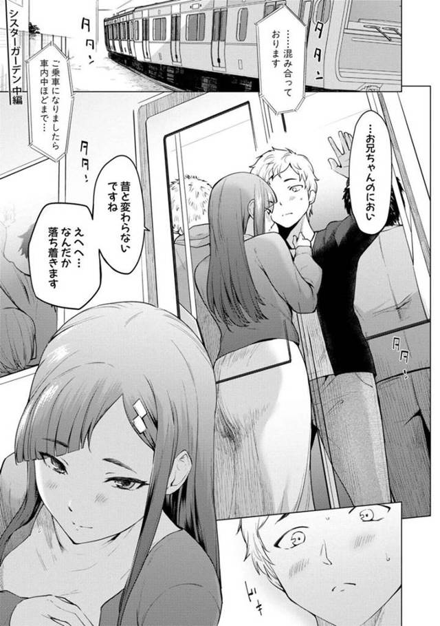 【エロ漫画】久々に再会した兄とラブホでアナルセックスしまくるJK妹【あおやまきいろ。／シスターガーデン 中編】