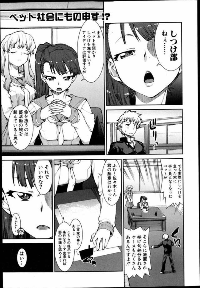 ペットしつけ部の男子に躾けをおねだりし、調教してもらう変態マゾJK…全裸でアソコを広げたまま放置されて濡れまくり、フェラして手マンでイッたあと激しい中出し調教セックスでマゾアクメ【秋月伊槻：ペットな彼女は年中「発情期」】