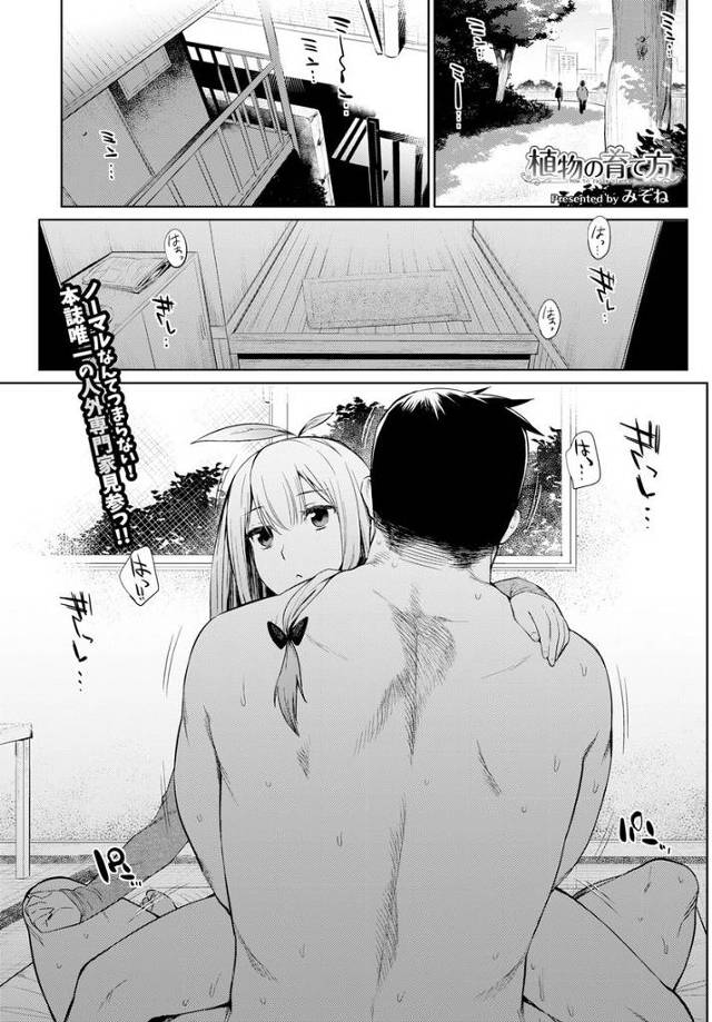 【エロ漫画】四十歳童貞男が人間の姿に近いマンドラゴラを買って彼女にしてセックスライフを楽しむｗｗ毎日生ハメした…