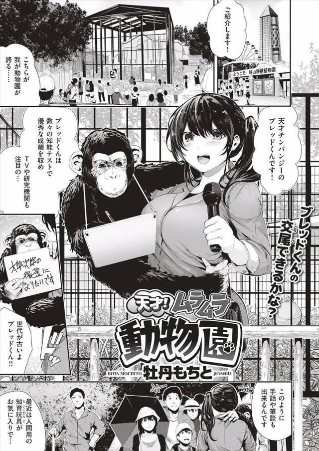 【エロ漫画】飼育員の先輩が転勤することになり、天才チンパンジーの助けを借りてチンパンジーの檻に先輩と閉じ込めら…