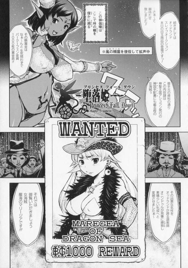 【性奴隷エロ漫画】調教師に牝奴隷として変貌させられた巨乳女海賊【危険思想】