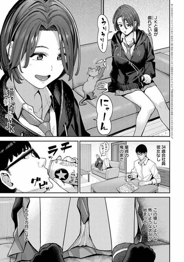 【同人誌】猫と好奇心とJK【オリジナル】