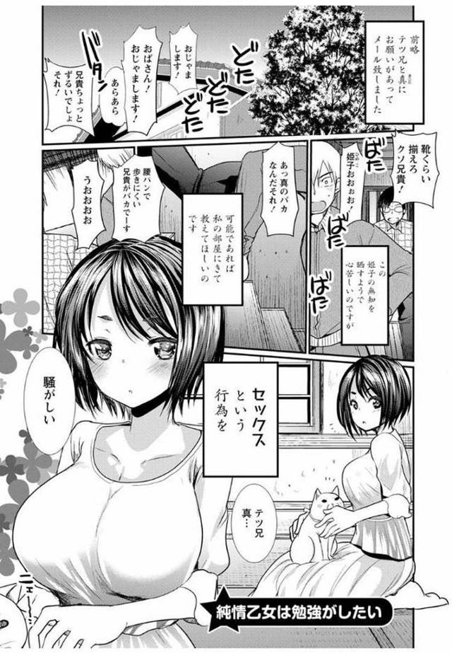 純情乙女は勉強がしたい【オリジナル同人誌・エロ漫画】
