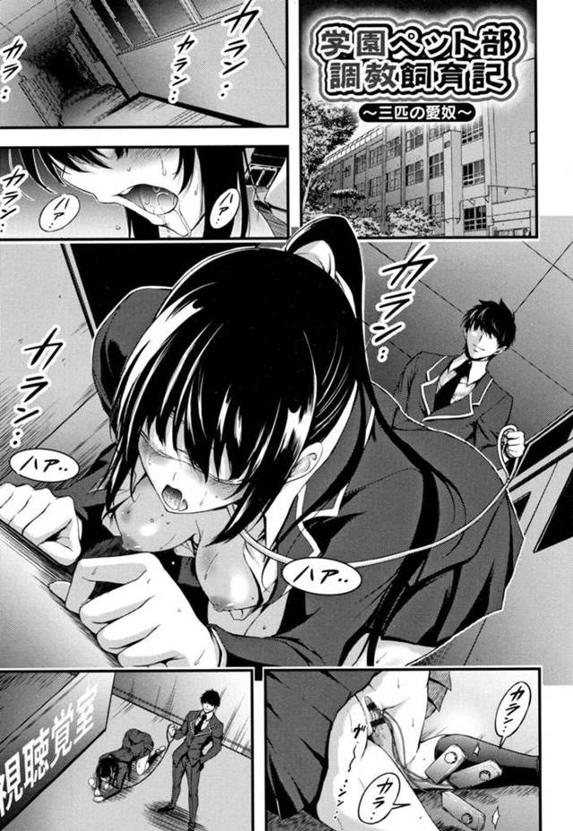 【エロ漫画】ペット部の変態男子たちに性ペットとして拘束され、調教される美女たち。JKや女教師たちがレズ乱交させられて鬼畜に犯され、集団輪姦調教レイプで白濁絶頂【山本やみー／学園ペット部調教飼育記】