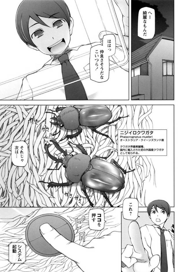 【逆レイプエロ漫画】繁殖したクワガタにレイプされるサラリーマン…【三糸シド】
