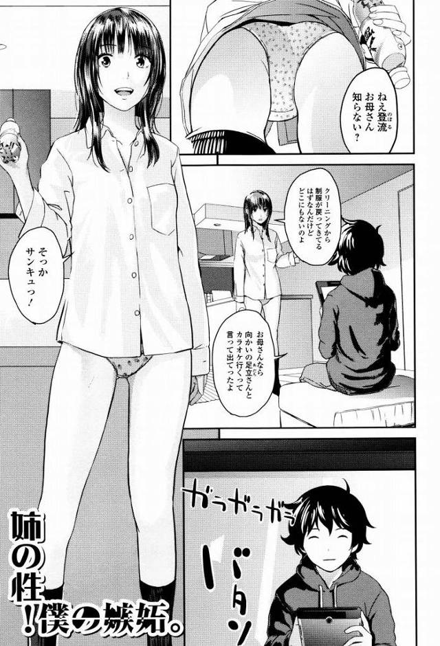 【エロ漫画】挿入されて感じてるお姉ちゃん凄く綺麗だよ！「姉の性！僕の嫉妬。」