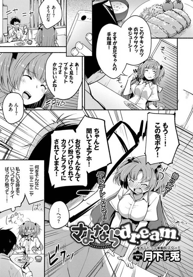 【エロ漫画】大好きな兄とエッチしたくてちんぽフェラしてまんこ濡らす妹ｗｗ一気に生挿入して激しい近親相姦セックス…