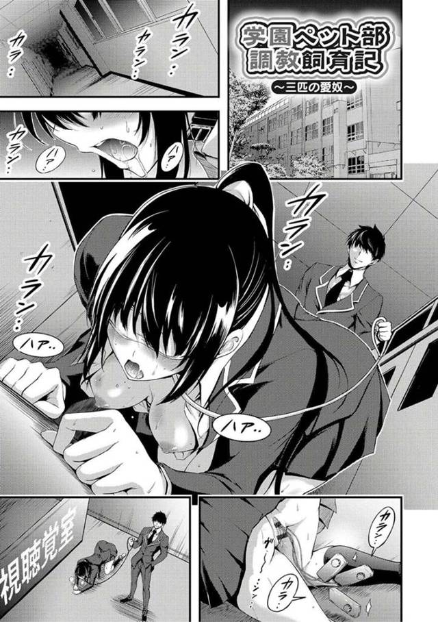 【調教エロ漫画】学校で開催されるペット愛好会で性奴隷達を自慢しまくる青年達…【山本やみー】