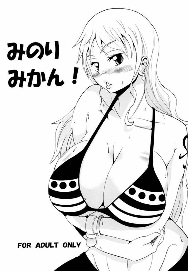 【ONE PIECE エロ同人】巨乳なナミがゾロと激しいセックスしているよ！【無料 エロ漫画】