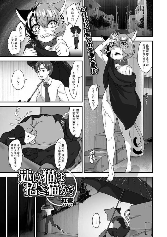 【オリジナル】迷い猫は招き猫か【商業誌・オリジナルエロ画像】