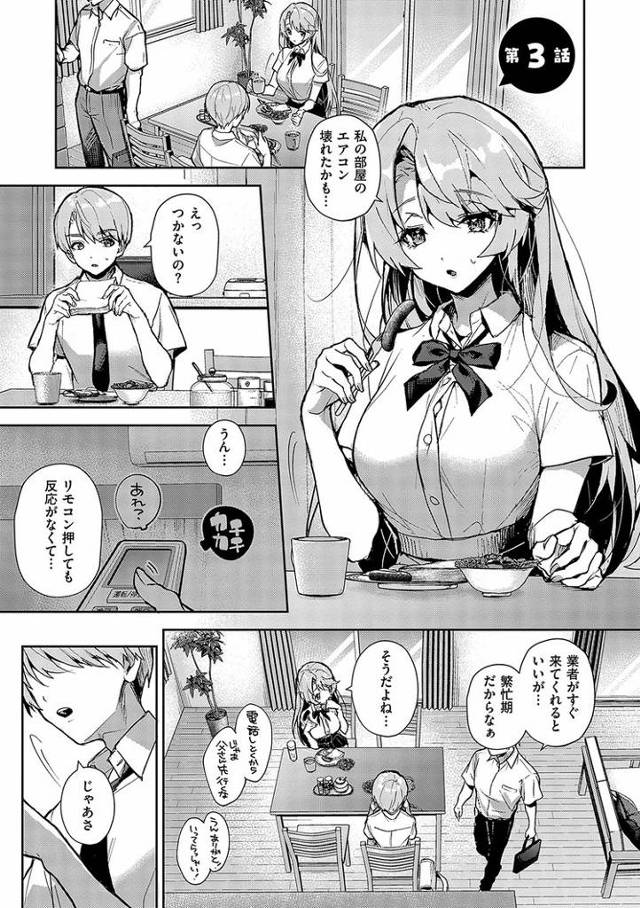 【同人誌】ぼくたちはお姉ちゃんの虜3【オリジナル】