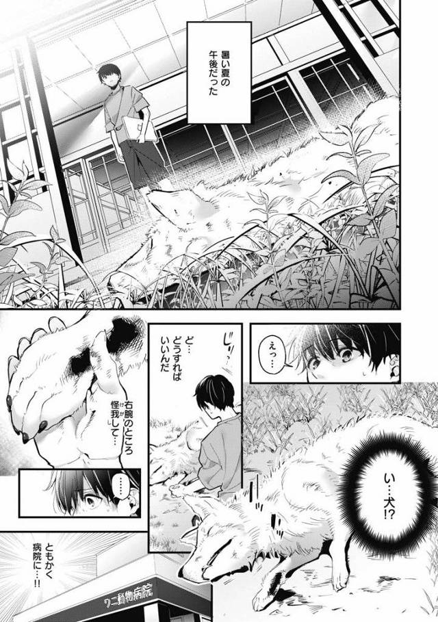 【エロ漫画】狼は一途な生き物だからちゃんと責任とってよね♡「麦の恩返し」